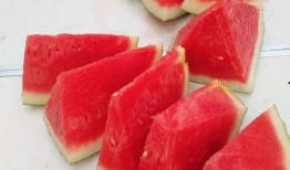 吃瓜网站 吃瓜大赛,揭秘网络热议背后的真相与笑料